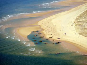Bassin d'Arcachon © Etienne Pierart